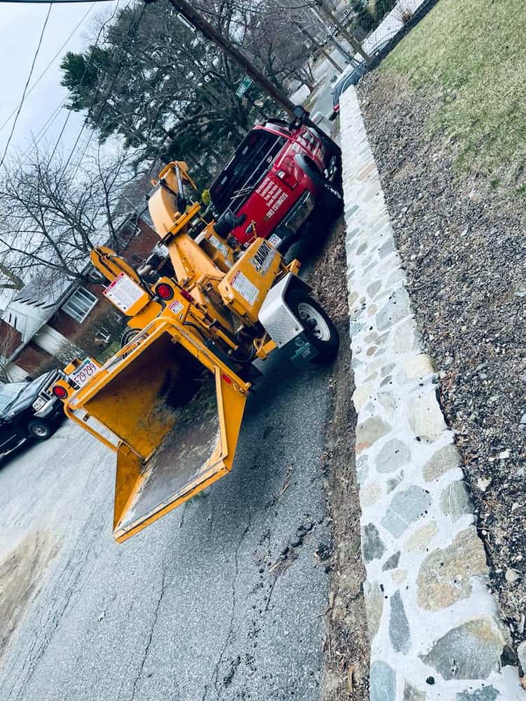 Emergency Tree Service Beverly MA