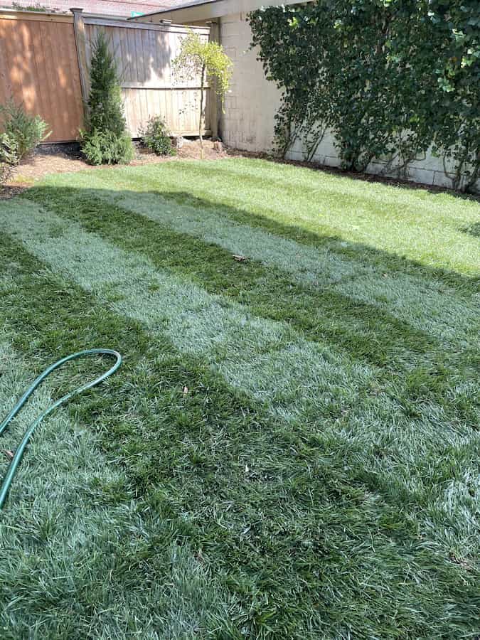 Lawn Care Topsfield