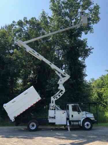 Tree Trimming Services in Lynn