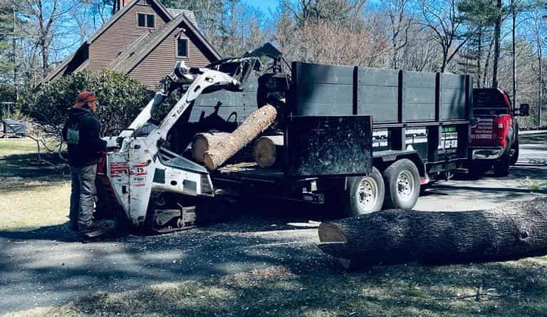 Wood Chipping & Disposal services ma