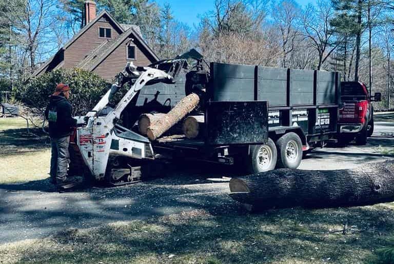 Wood Chipping & Disposal services ma