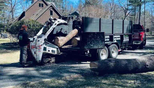 stump grinding services ma