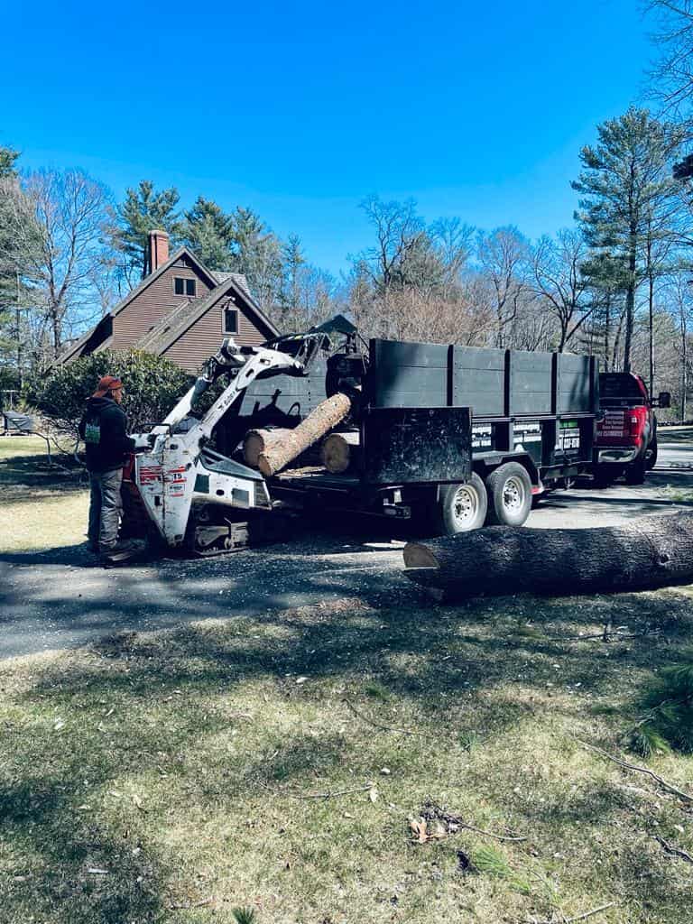 Stump Grinding Gloucester