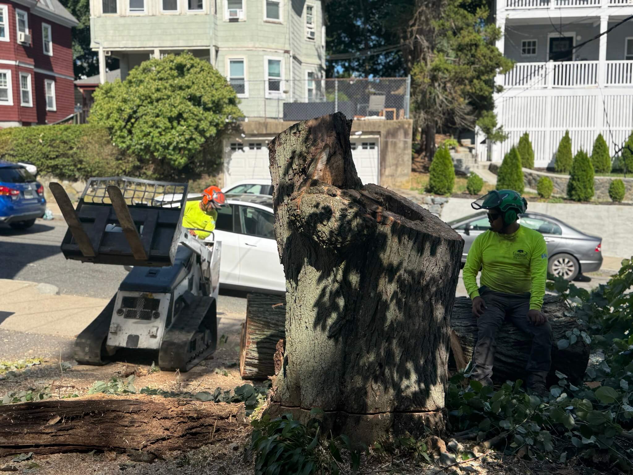 Stump Grinding Services in Lynn