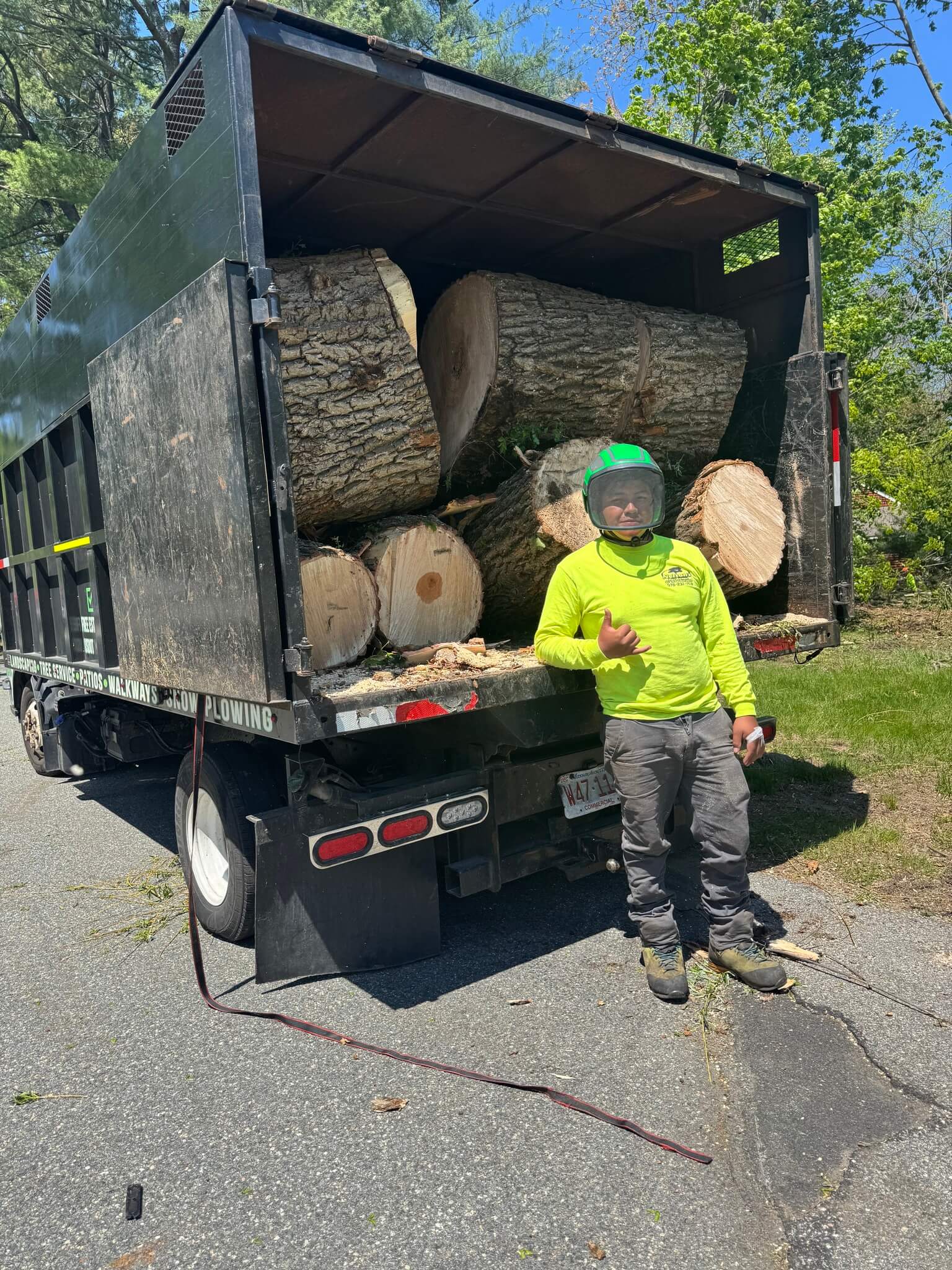 Tree Removal Services in Lynn