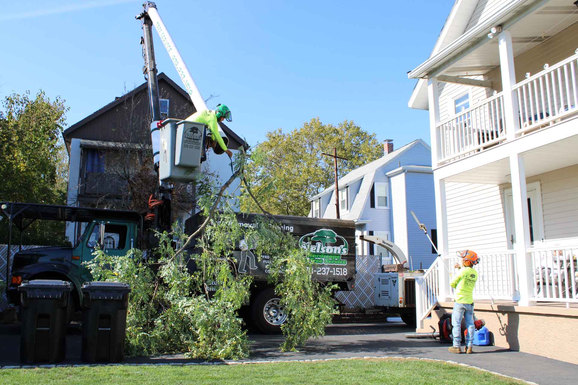 Emergency Tree Trimming: 5 Tips to Handle Tree Hazards