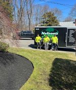 Top Mistakes Homeowners Make When Hiring a Tree Removal Contractor