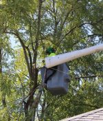 How to Prepare Your Property for Tree Removal