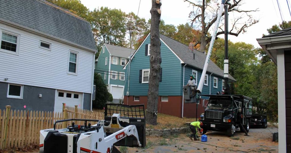 Expert Tree Services in Woburn MA Expert Tree Services in Woburn MA Expert Tree Services in Woburn MA